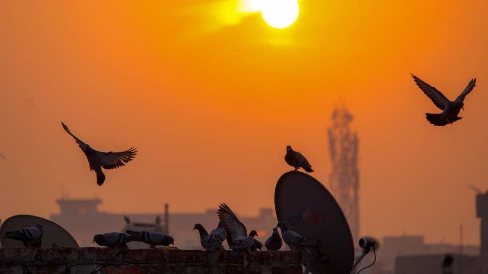 Фотография автора sachin gaurav