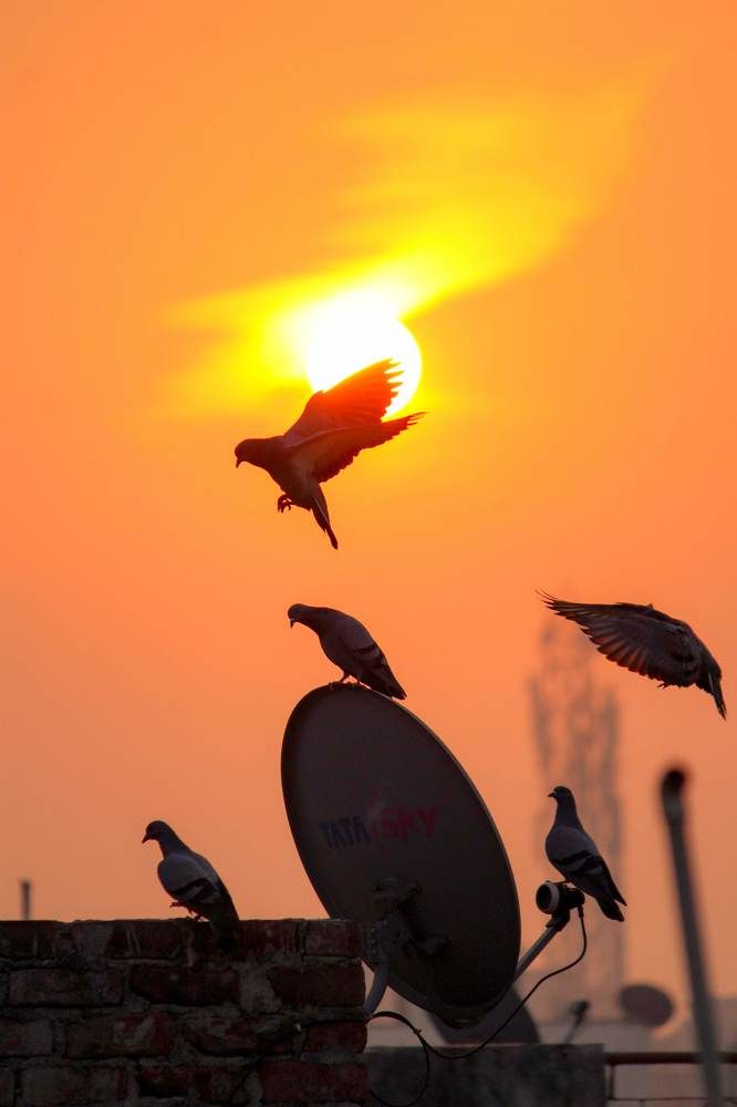 Фотография автора sachin gaurav