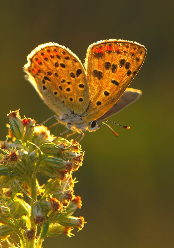 Photograph by Борис Риганов