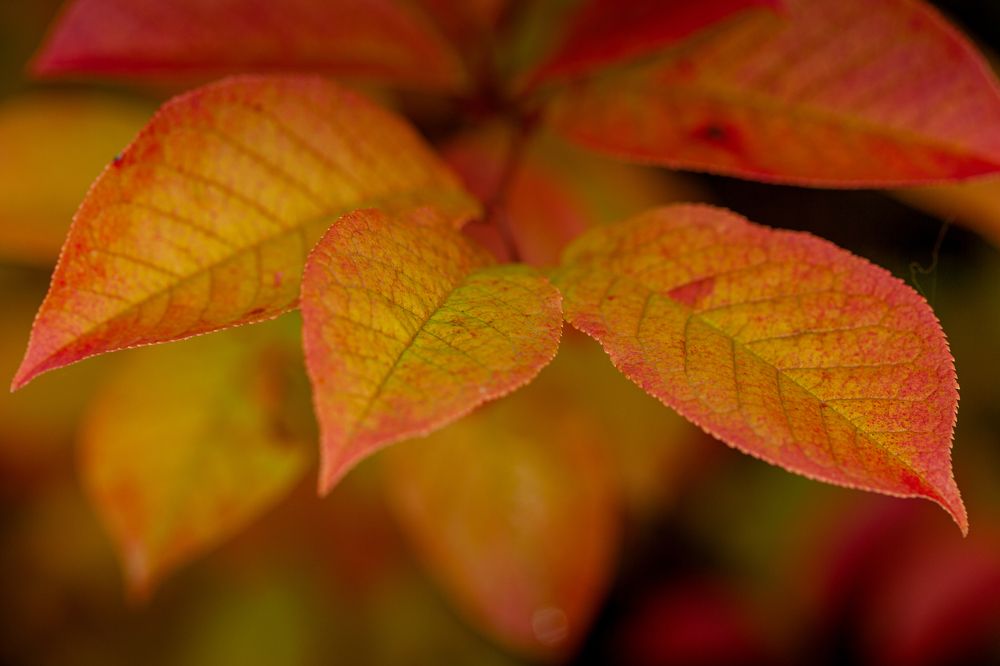 Photograph by Денис Дорошенко