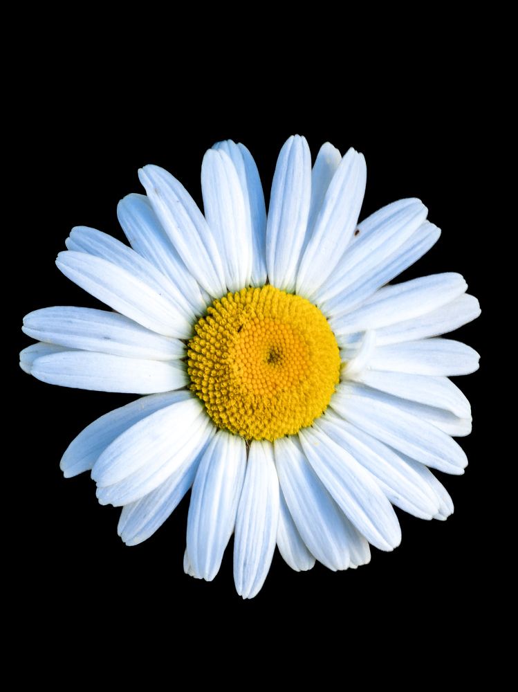 Photograph by Евгений Порсов