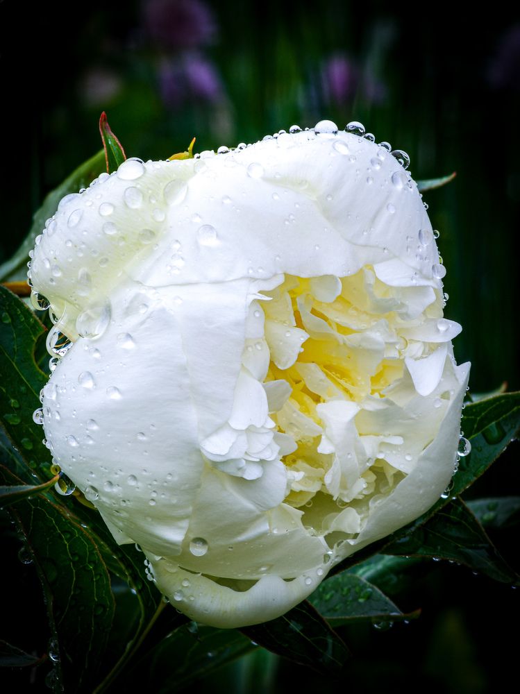 Photograph by Евгений Порсов