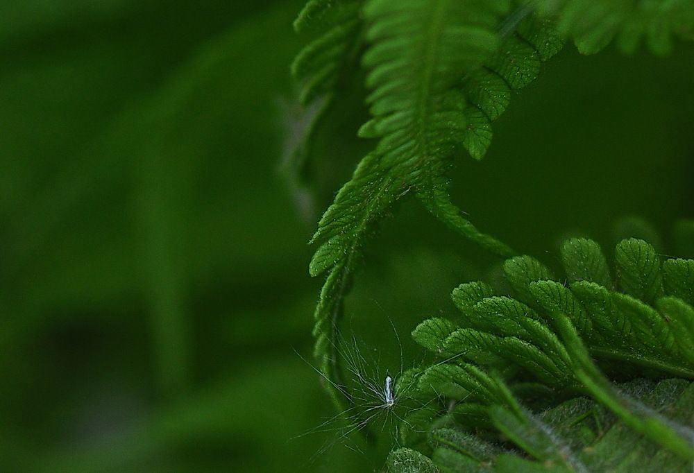 Photograph by Светлана