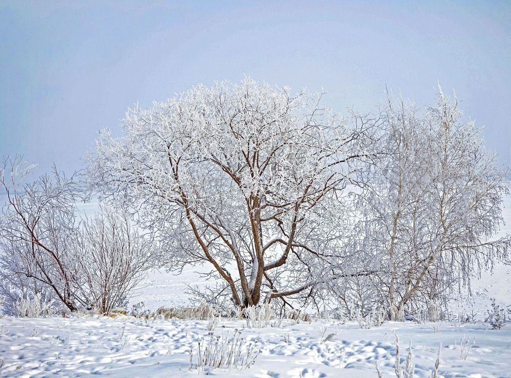 Photograph by Нина Будникова