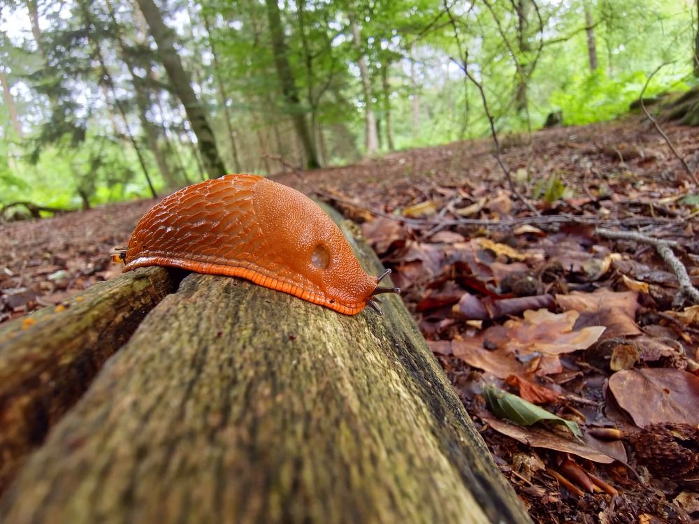 Photograph by Nicole Maria Oestreich