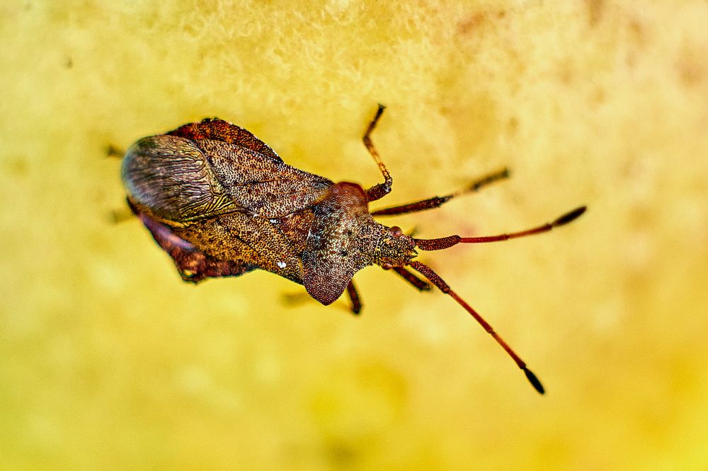 Photograph by Устинов Андрей