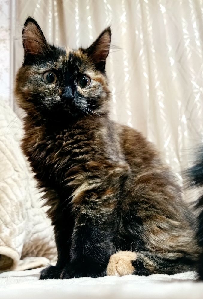 Photograph by Марина Гусева