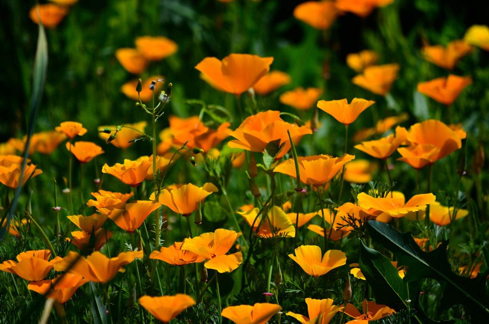 Photograph by Ольга Мокрова