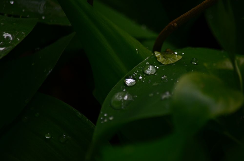 Photograph by Ольга Мокрова