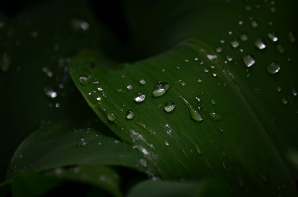 Photograph by Ольга Мокрова