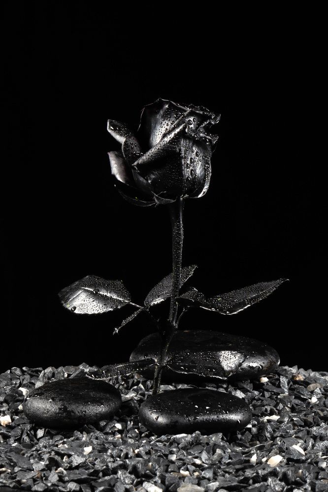 Photograph by Дмитрий Кулемин