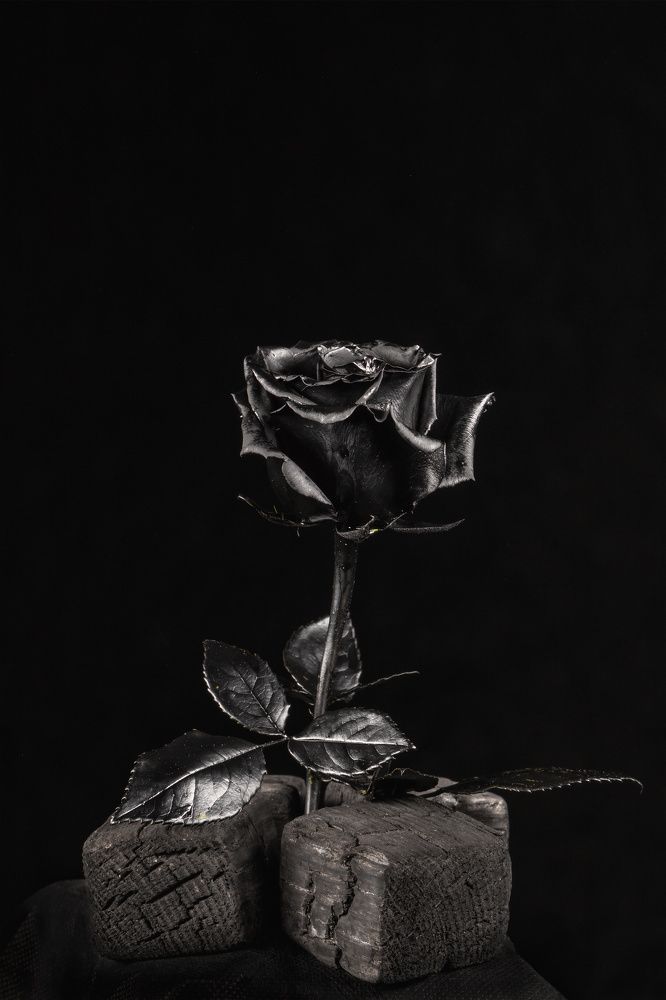 Photograph by Дмитрий Кулемин