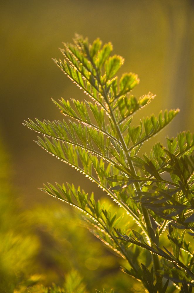 Photograph by Ольга Мокрова