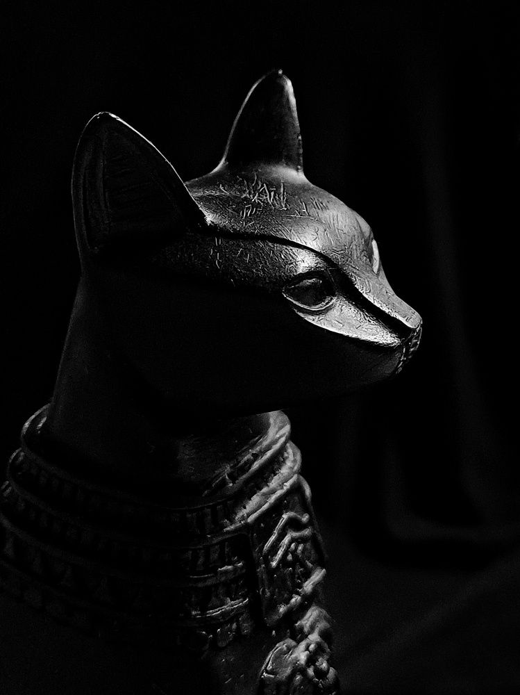 Photograph by Anastasiya Danilova