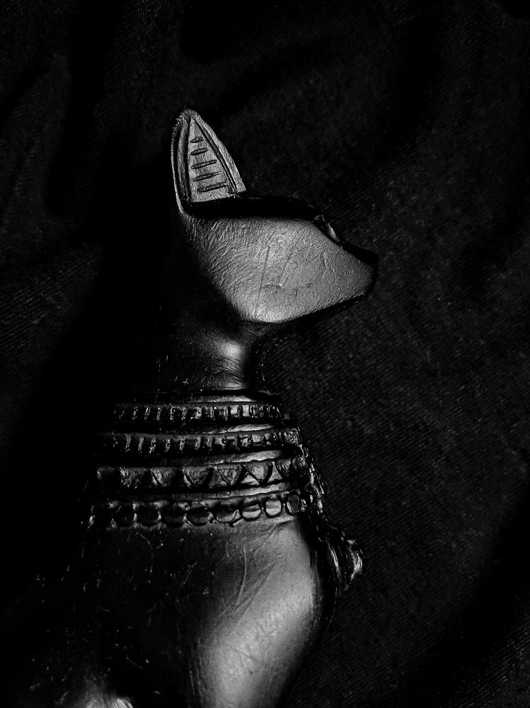 Photograph by Anastasiya Danilova