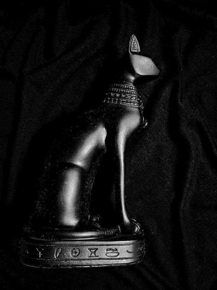 Photograph by Anastasiya Danilova