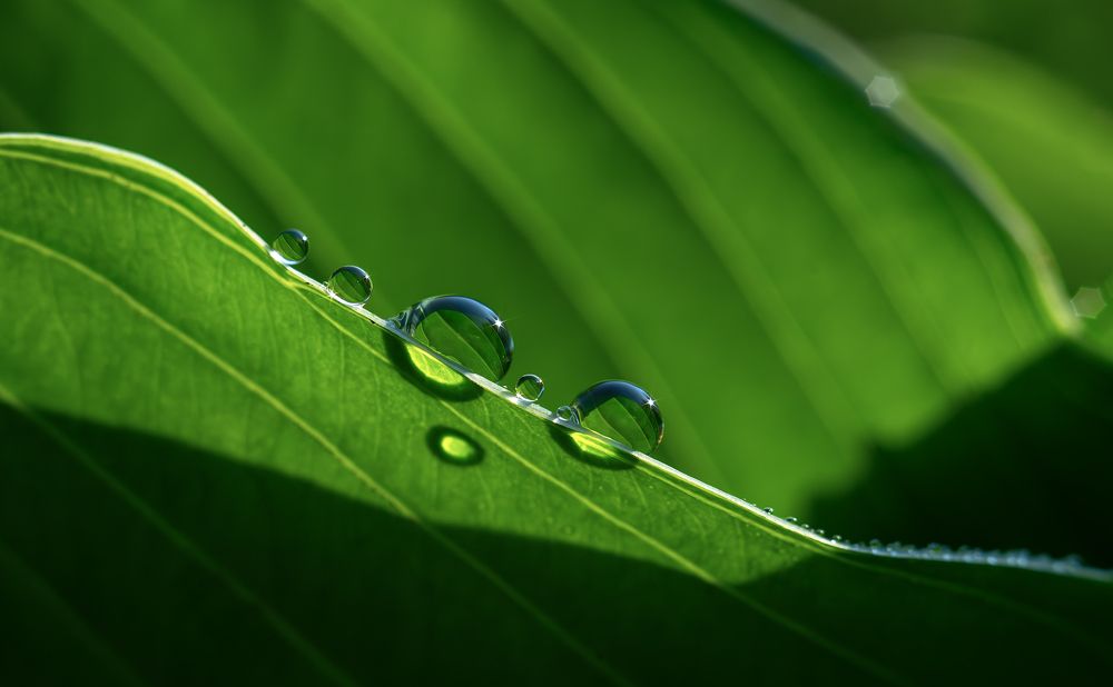 Photograph by Andrey Rut