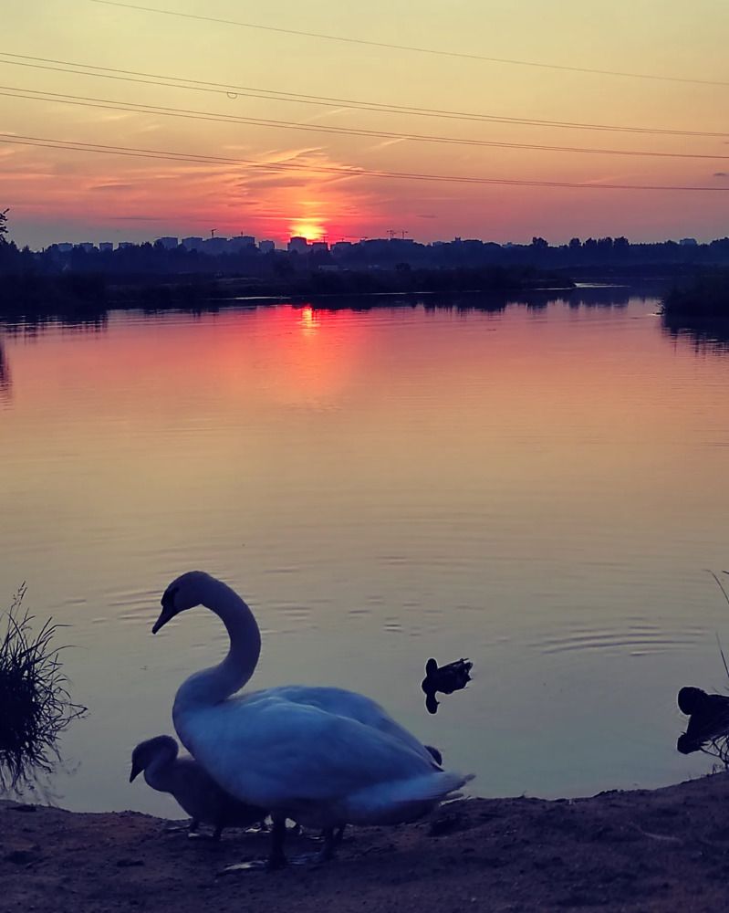 Фотография автора Елена Драко