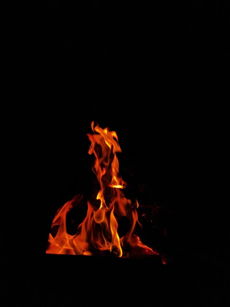 Фотография автора Елена Драко