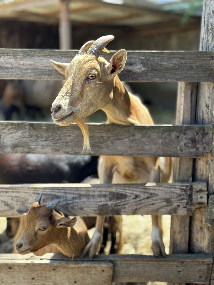 Photograph by Евгения Казакова