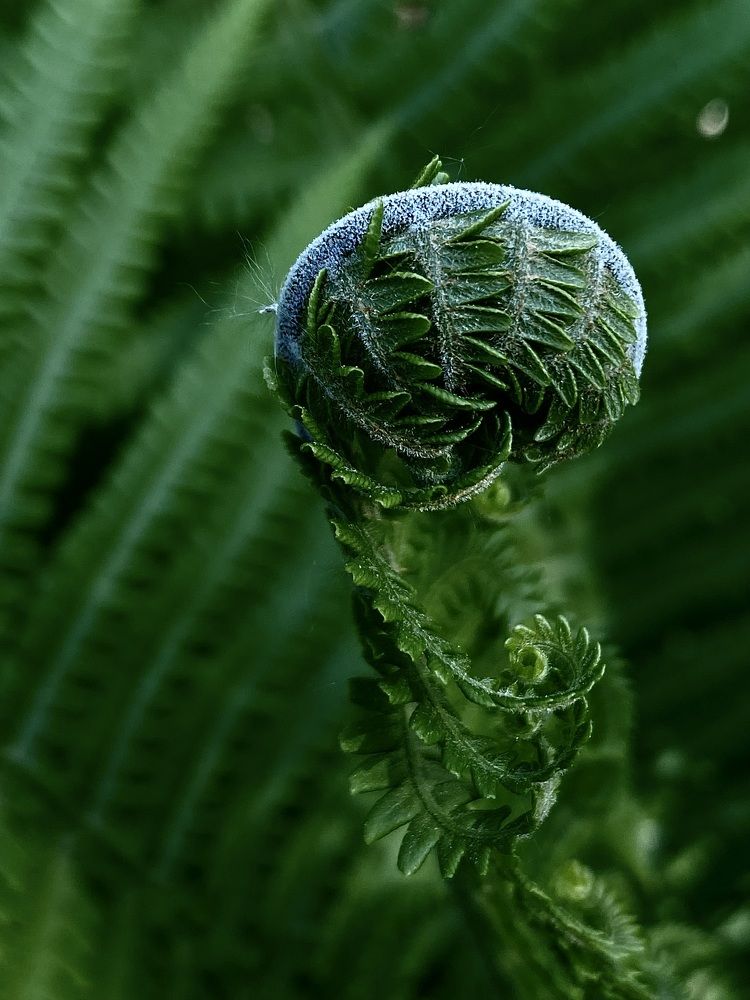 Photograph by Евгения Казакова