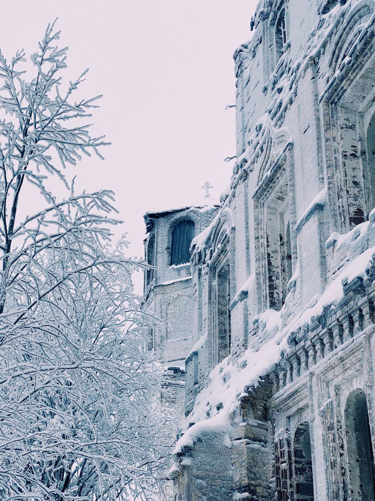 Photograph by Алина Шорина