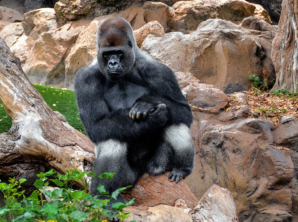 Photograph by Леонид Дрюченко