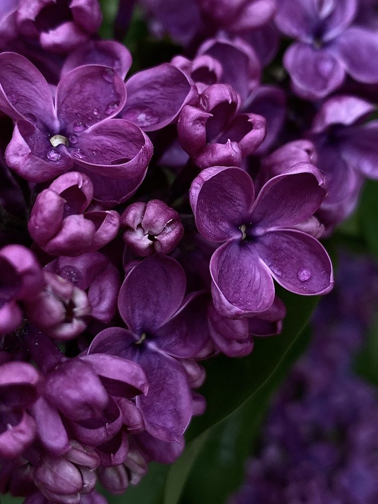 Photograph by Евгения Казакова