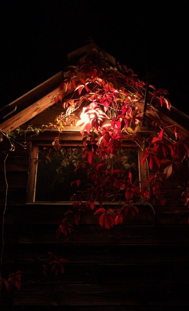 Photograph by Алексей Скворцов