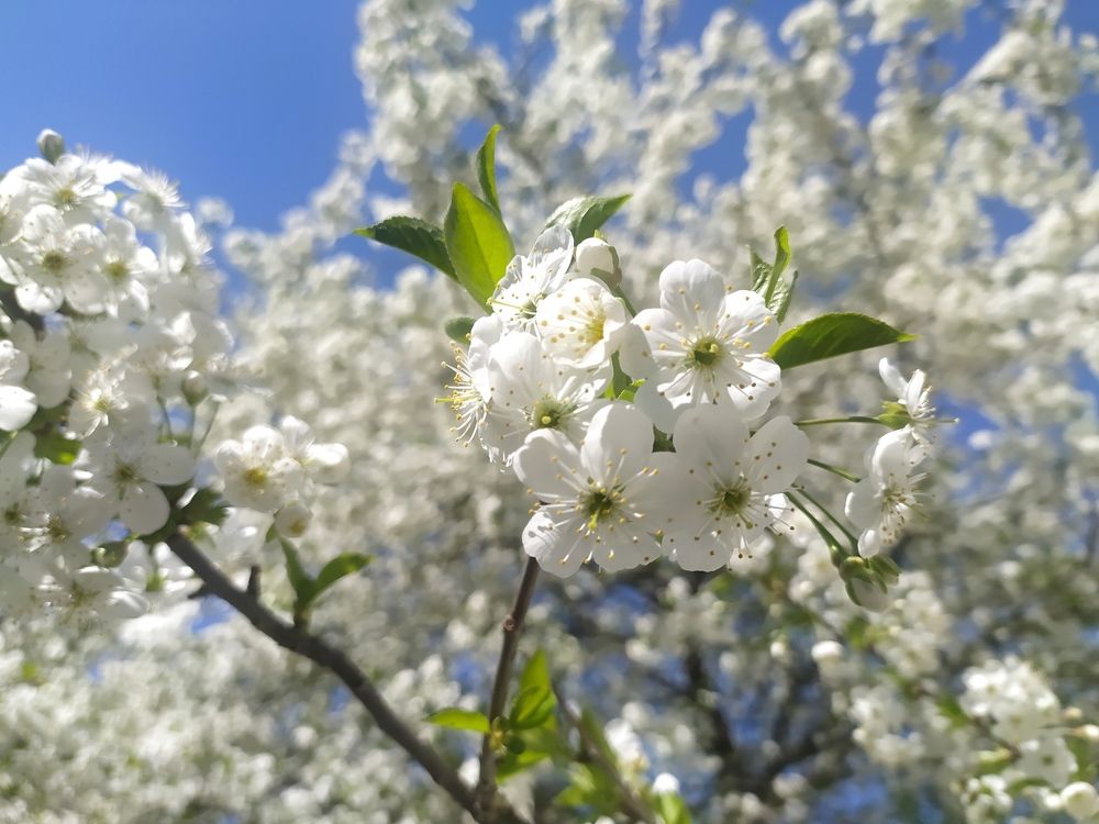 Photograph by Ирина Половцева