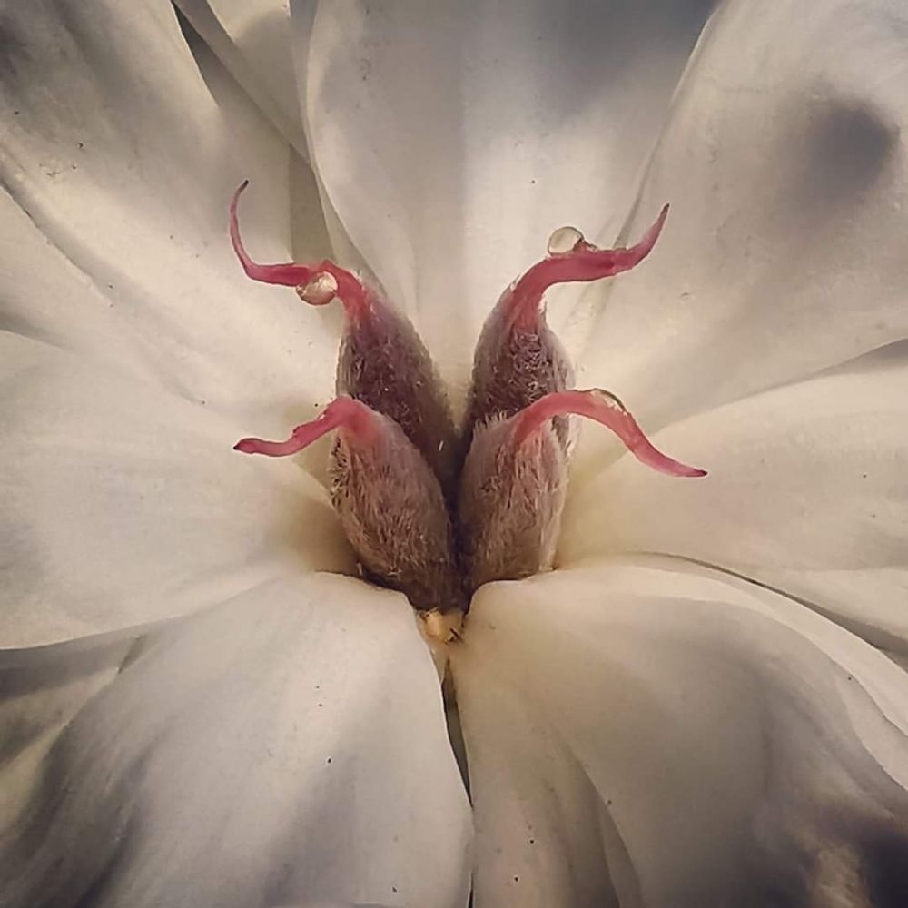 Photograph by Nikolett Mengyi