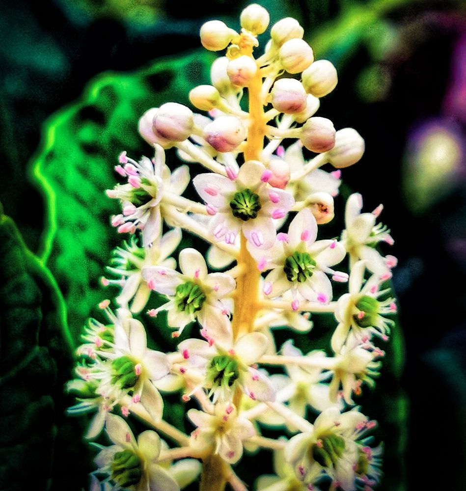 Photograph by Nikolett Mengyi