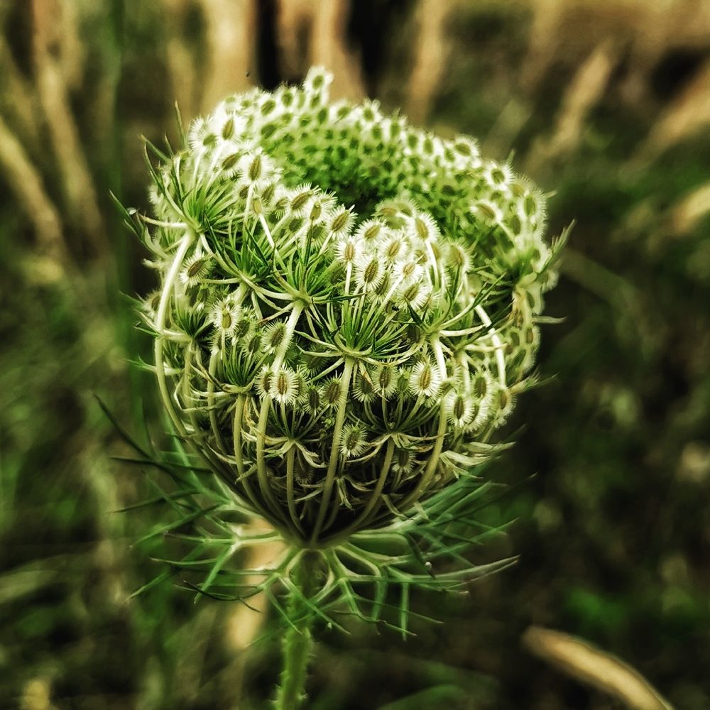 Photograph by Nikolett Mengyi