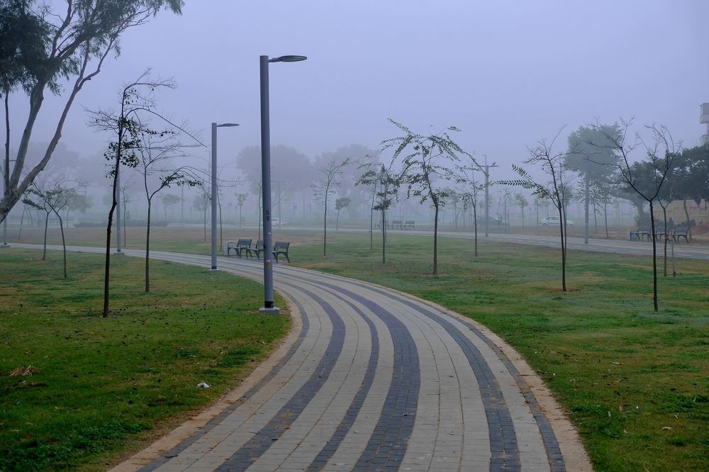 Фотография автора Dmitry