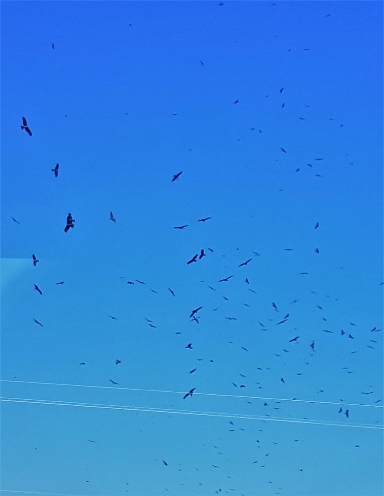 Photograph by Ася Бабушкина