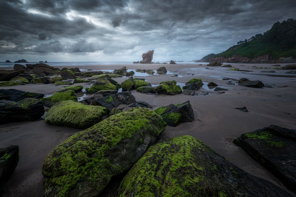 Photograph by Camacho Anto
