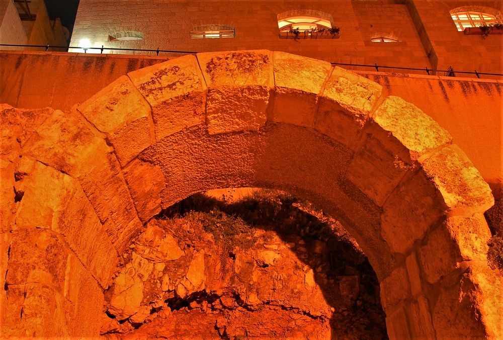 Фотография автора Ася Бабушкина