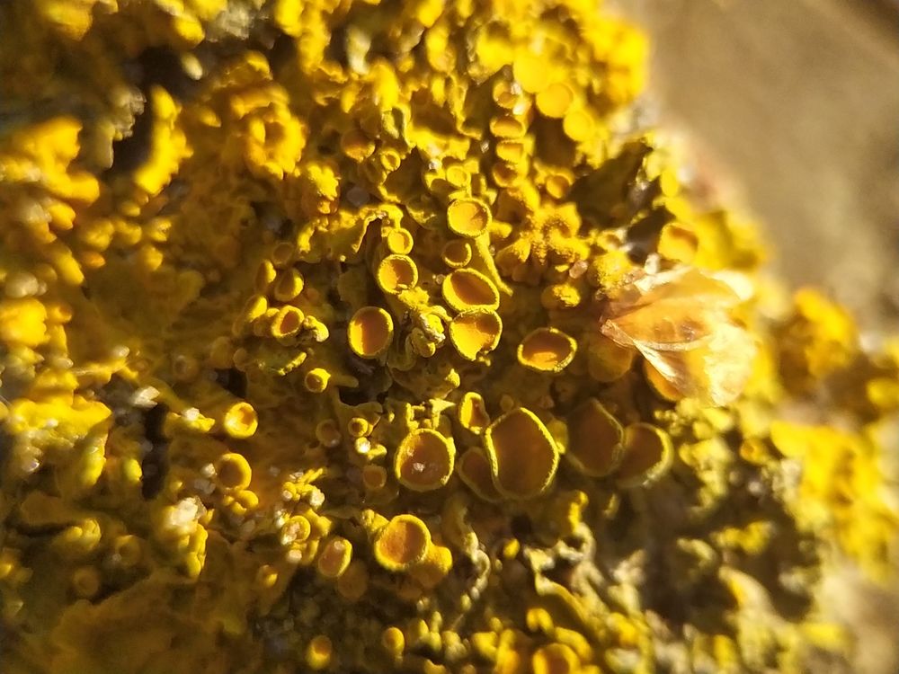 Photograph by Юлия Смирнова