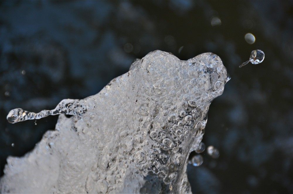 Фотография автора Ася Бабушкина