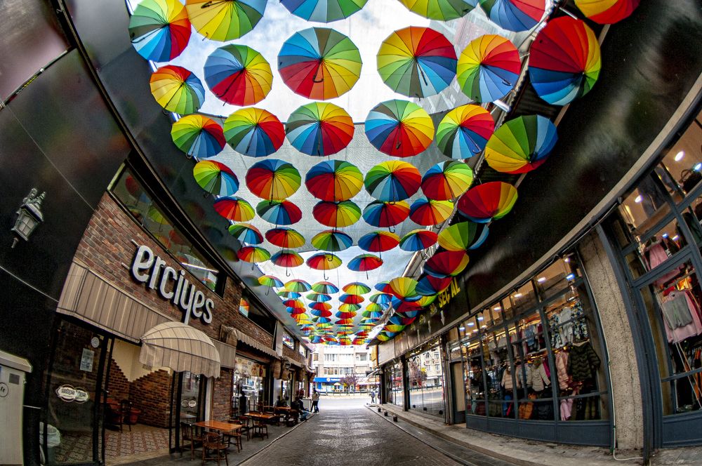 Photograph by DAMOUN POURNEMATI