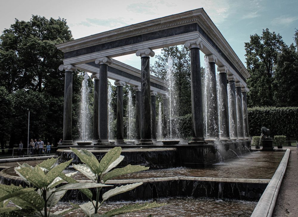 Photograph by Ольга Жаркова