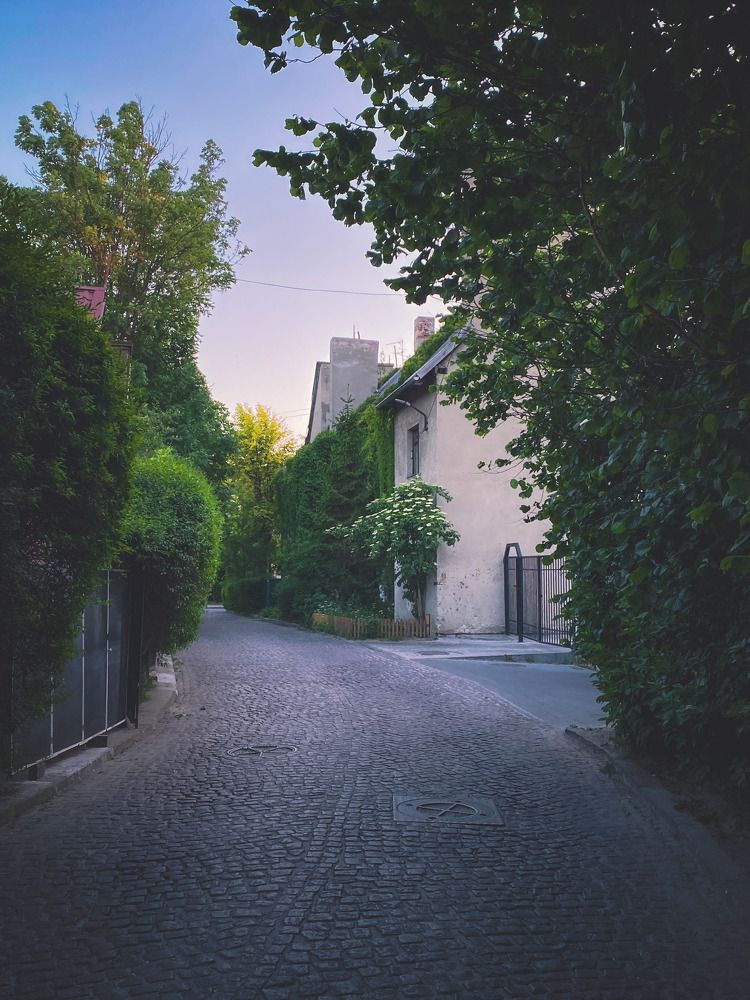 Photograph by Anna Chub