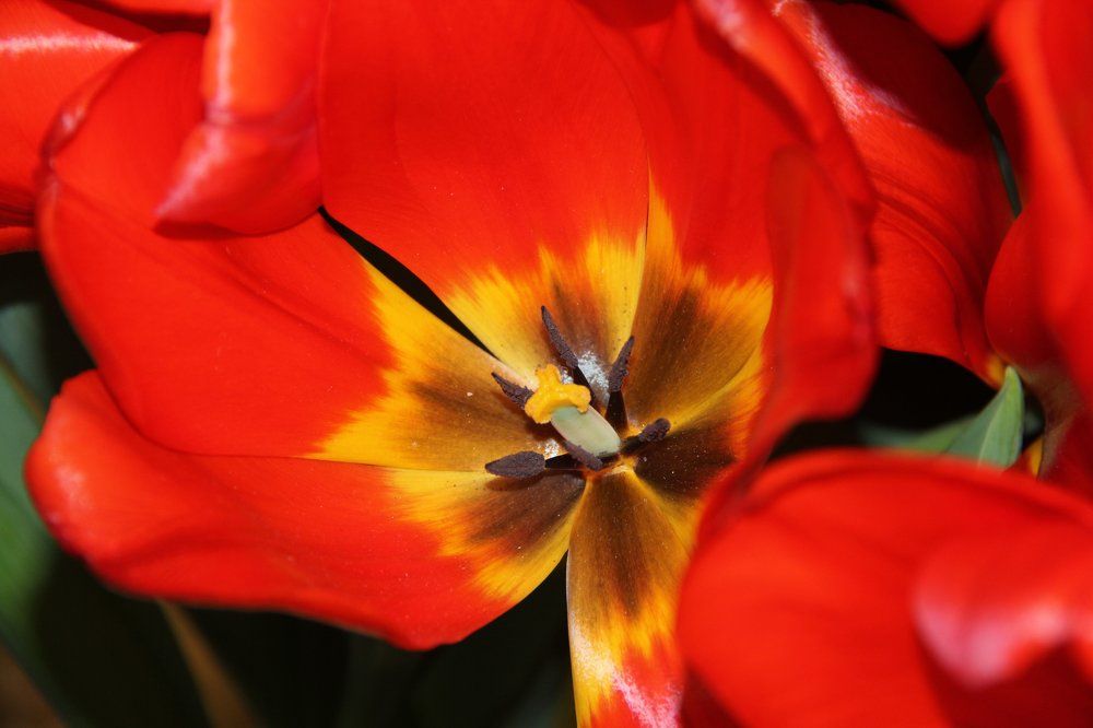 Photograph by Марина Салова