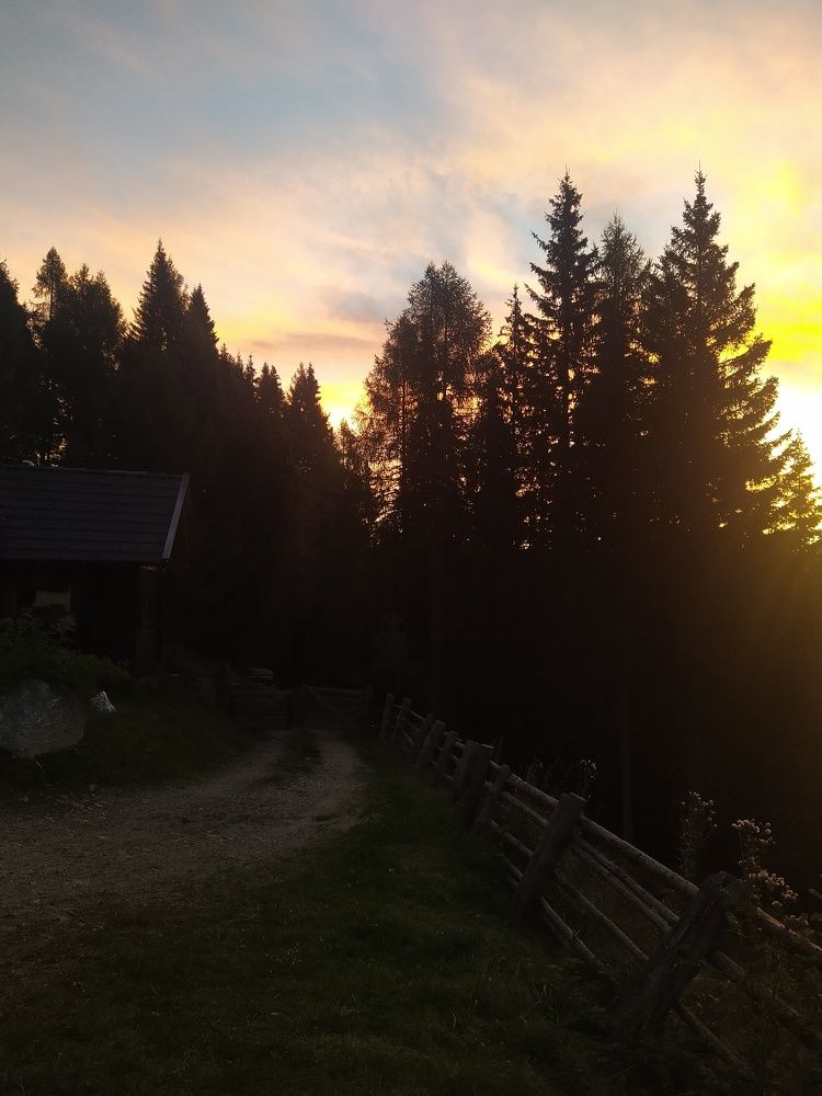 Фотография автора Inna Osminina