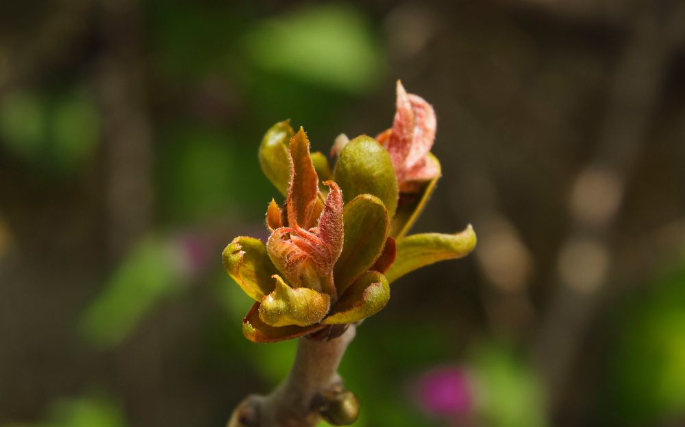 Photograph by Игорь Сидун