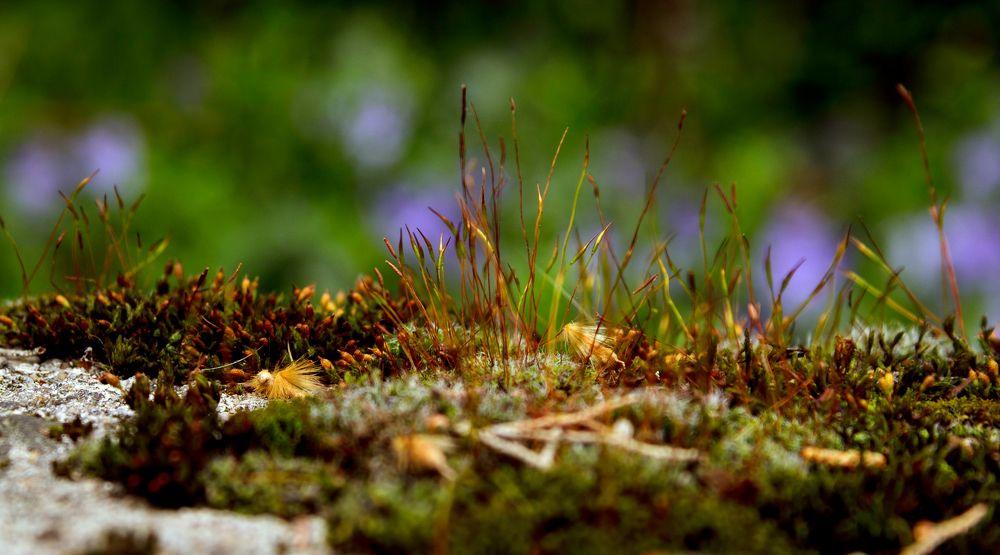 Photograph by Игорь Сидун