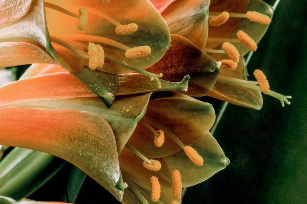 Photograph by Midge Engelbrecht