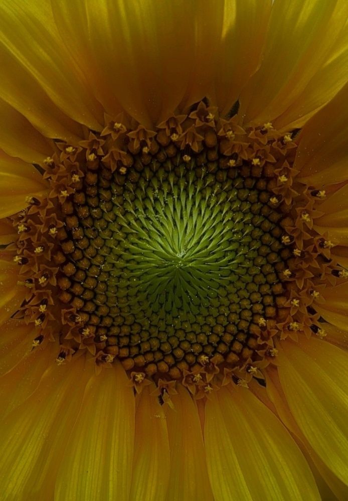 Photograph by Catherine