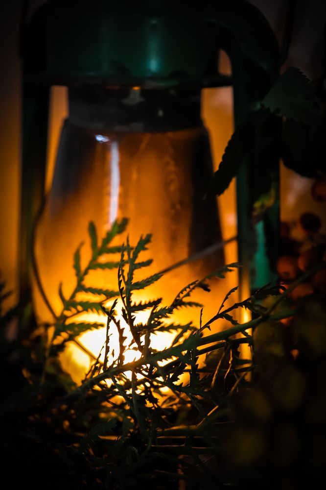 Photograph by Анастасия