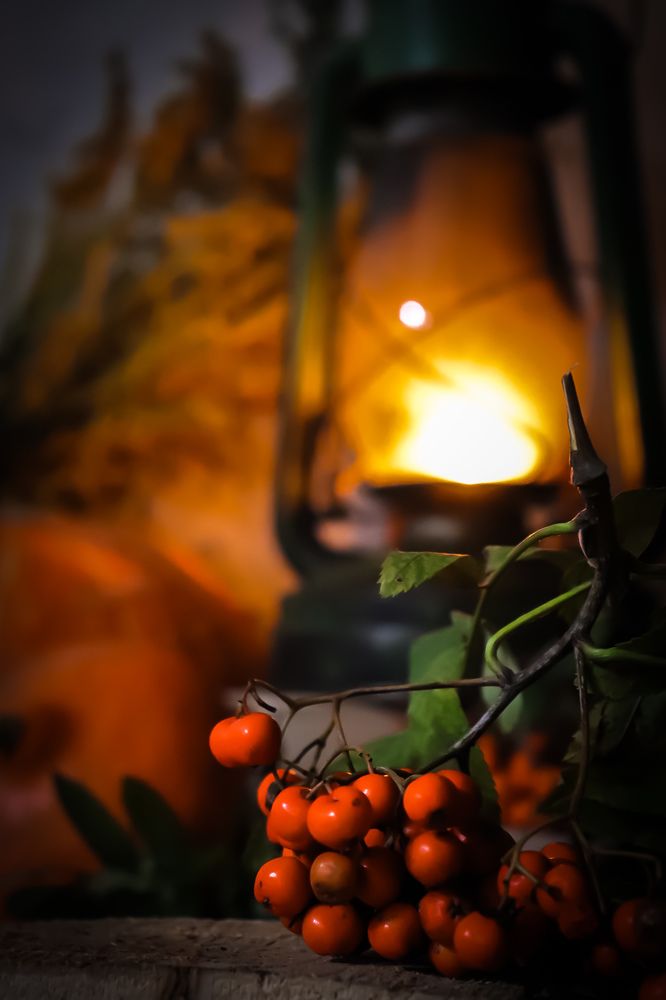 Photograph by Анастасия